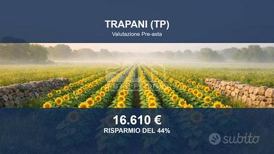Immobile in asta di 7386 m² a Trapani