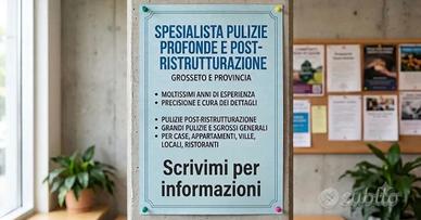 Pulizie profonde