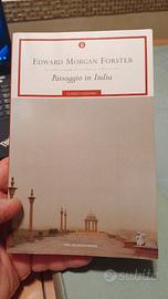 Libro Passaggio in India