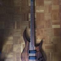 Basso elettrico fretless Peavey upgrade Bartolini