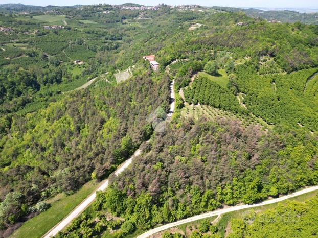 TER. AGRICOLO A LEQUIO BERRIA