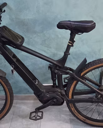 Bicicletta elettrica 