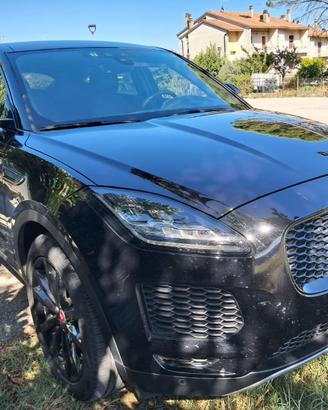Jaguar e pace
