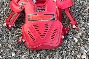 Pettorina fox roost 2 vintage motocross