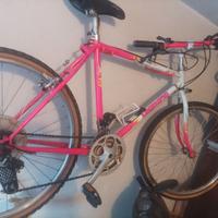 Bici Mountain bike Legnano 26 gomme nuove