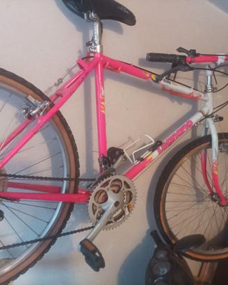 Bici Mountain bike Legnano 26