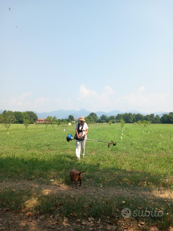 6000 mq di terreno agricolo