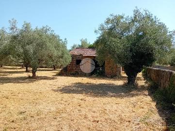 RUSTICO A CASTEL SANT'ELIA