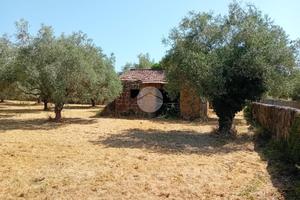 RUSTICO A CASTEL SANT'ELIA