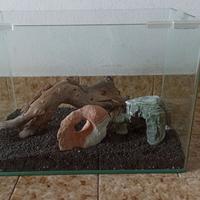 Acquario 