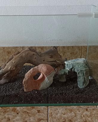 Acquario 