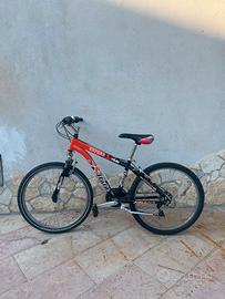 Bicicletta Oxford Atala