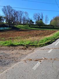 Terreno agricolo