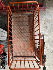 bilancia pesa animali