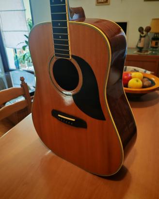 Magnifica Chitarra Acustica M. Suzuki W-300