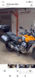 Moto Guzzi Stelvio PFF 2024