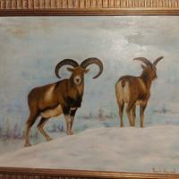 olio su tela( mufloni)