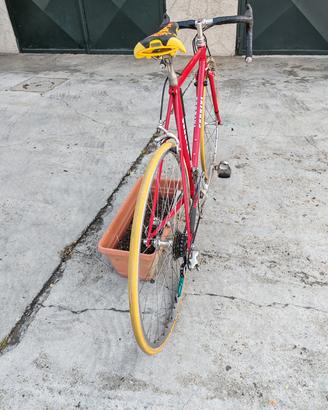 bici da corsa Moncalieri Torino 