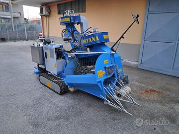 Raccoglitrice fagiolini
