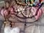 Immagine 6