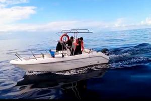 Barca ITALMAR SPORTFISH 19 MISTRAL
