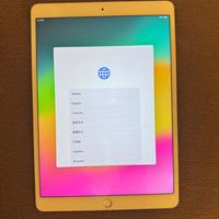iPad pro 10.5 (2017)