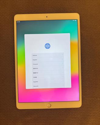 iPad pro 10.5 (2017)