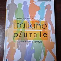Italiano plurale