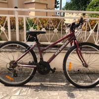 Bicicletta per ragazzi
