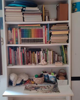 Mobile libreria