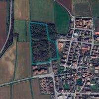 Area edificabile a Bornasco (PV) - LOTTO 2