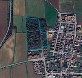 Area edificabile a Bornasco (PV) - LOTTO 2