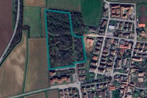 Area edificabile a Bornasco (PV) - LOTTO 2