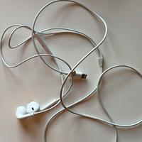Apple Auricolari EarPods con connettore Lightning