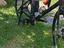 Immagine 4