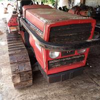 cingolato Massey Ferguson 244CF