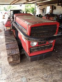 cingolato Massey Ferguson 244CF