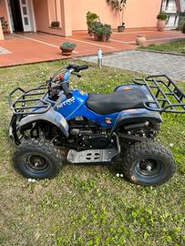 Mini quad nitro 50cc