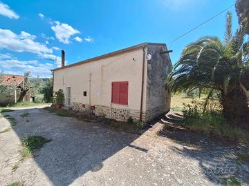 Proprietà con terreno, 150 ulivi e annessi - Ideal