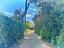 Immagine 20