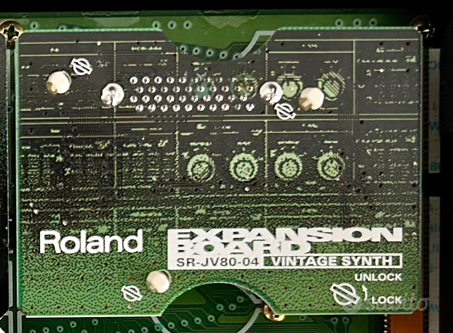 Roland SR-JV80-04 Vintage Synth Expansion Board - Strumenti