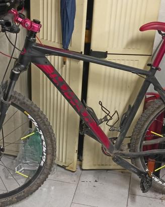 Mtb ruote da 29 taglia L/XL assemblata