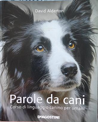 Parole da cani 9788841874851
ISBN 9788841874851