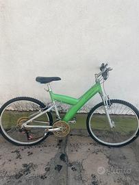 Bicicletta mountainbike