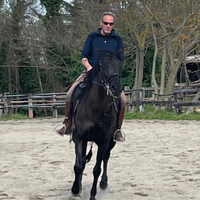 Cavalla Minorchina pura razza