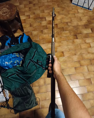 canna da pesca