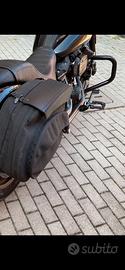 Borse Harley Davidson Softail Low Rider S