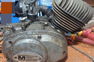 motore minarelli OVALINO 