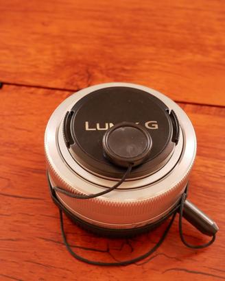 Lumix G Vario 12-32mm f/3.5-5.6 ASPH Mega O.I.S.