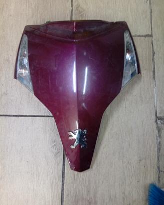 Pezzi di ricambio per Peugeot GeoRS 250cc 300cc